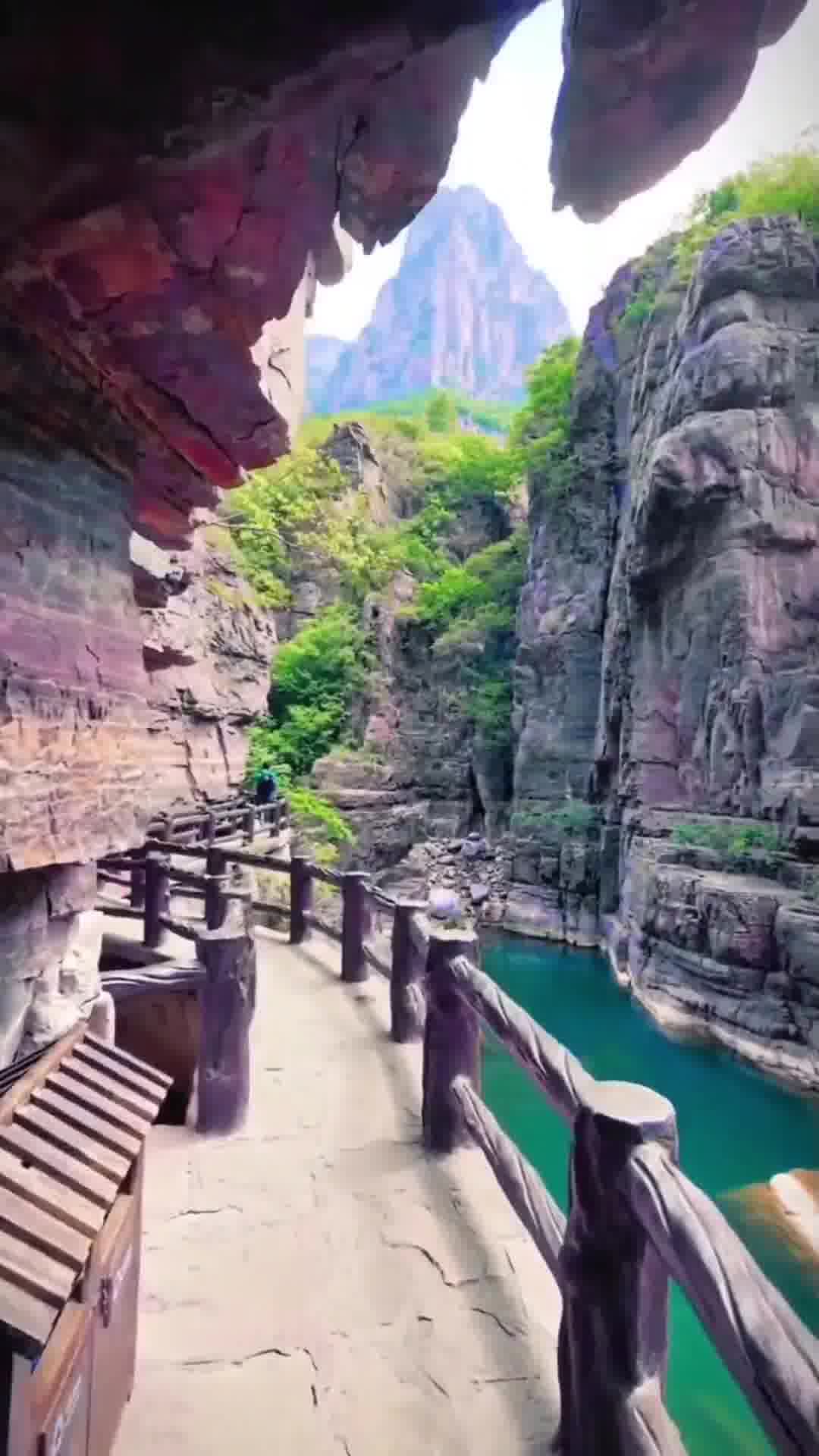 河南,古老中原的繁荣脉搏与活力展现