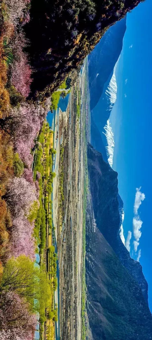 西藏探索之旅，初学者与进阶用户的步骤指南