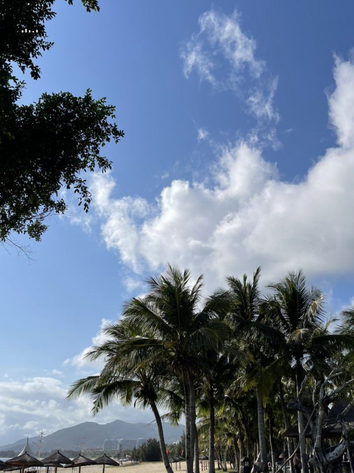 探索海南之美，深度游攻略，打造完美海南之旅指南