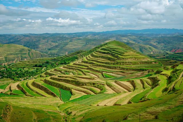 甘肃,嘉宾云集,观众热情洋溢