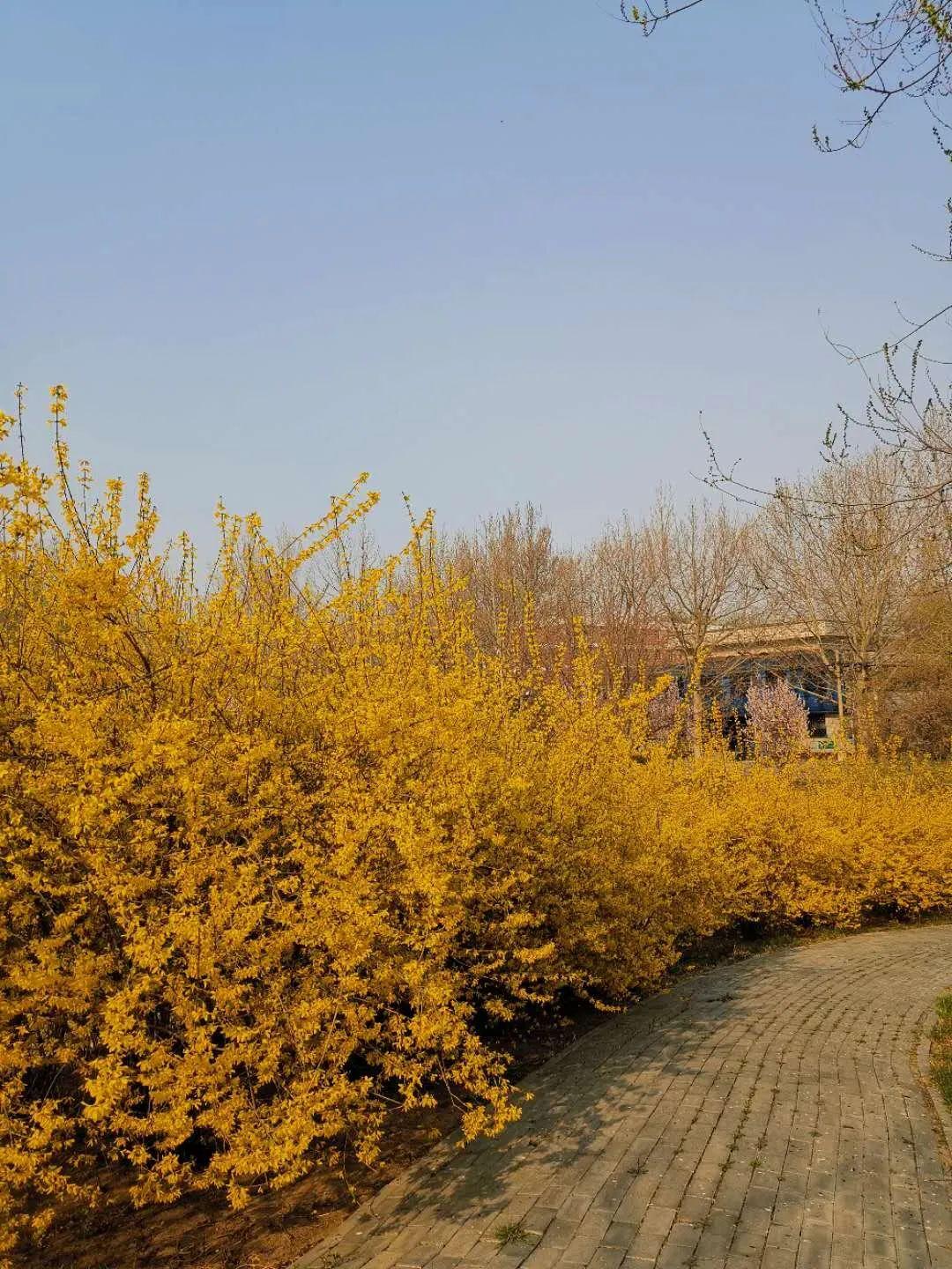 廊坊之光，高科技产品引领未来，科技与生活共舞